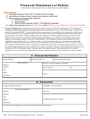 Form Crs-13f-2.0 - Financial Statement Of Debtor