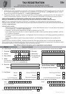 Form Tr1 - Tax Registration For Resident Individuals, Partnerships, Trusts Or Unincorporated Bodies Registering For Tax In Ireland Printable pdf