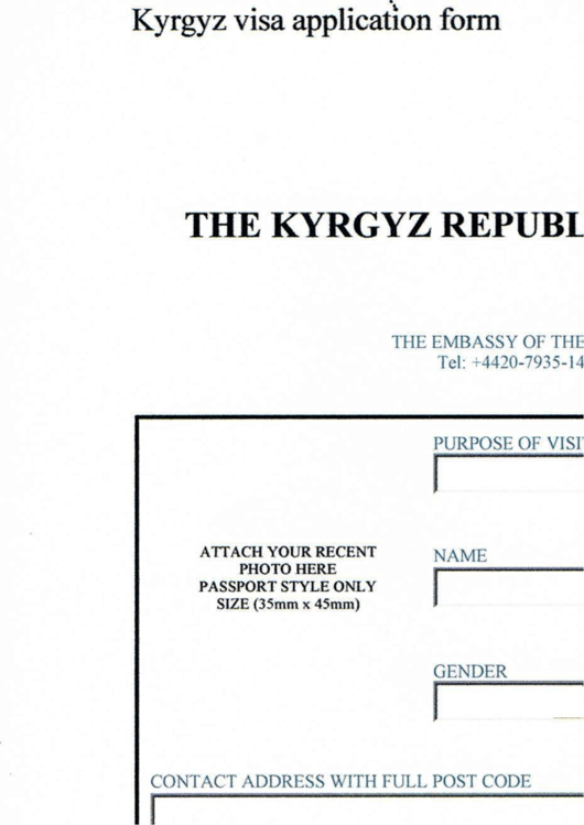 The Kygyz Republic Visa Application Form Printable pdf