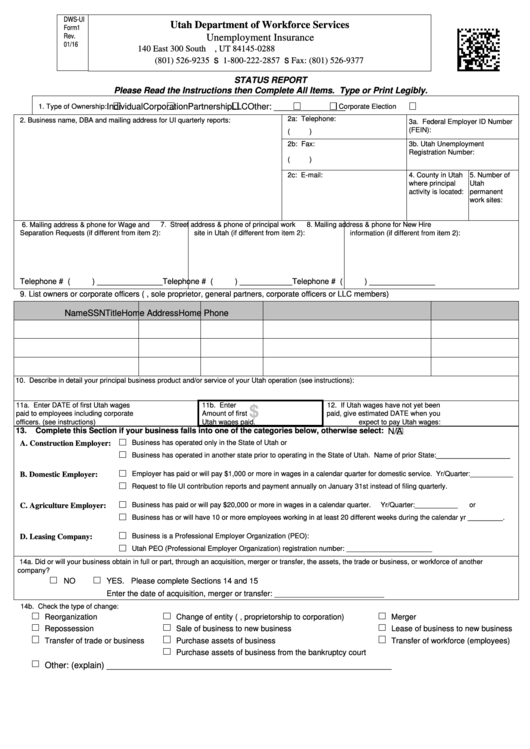 Dws-Ui Form1 - Status Report Printable pdf