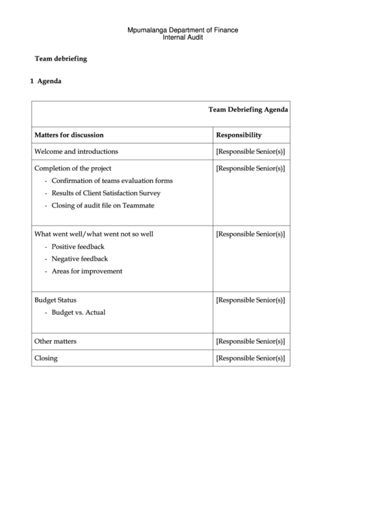 Team Debriefing Template - Mpumalanga Department Of Finance Printable pdf