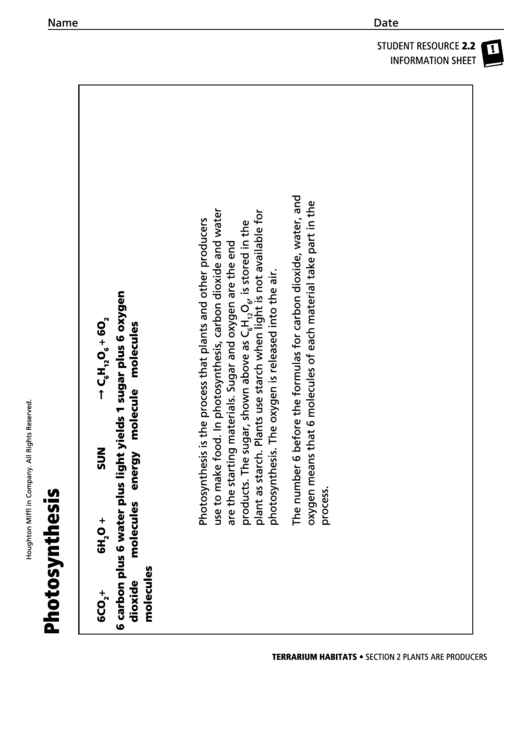 Photosynthesis Student Information Sheet Printable pdf