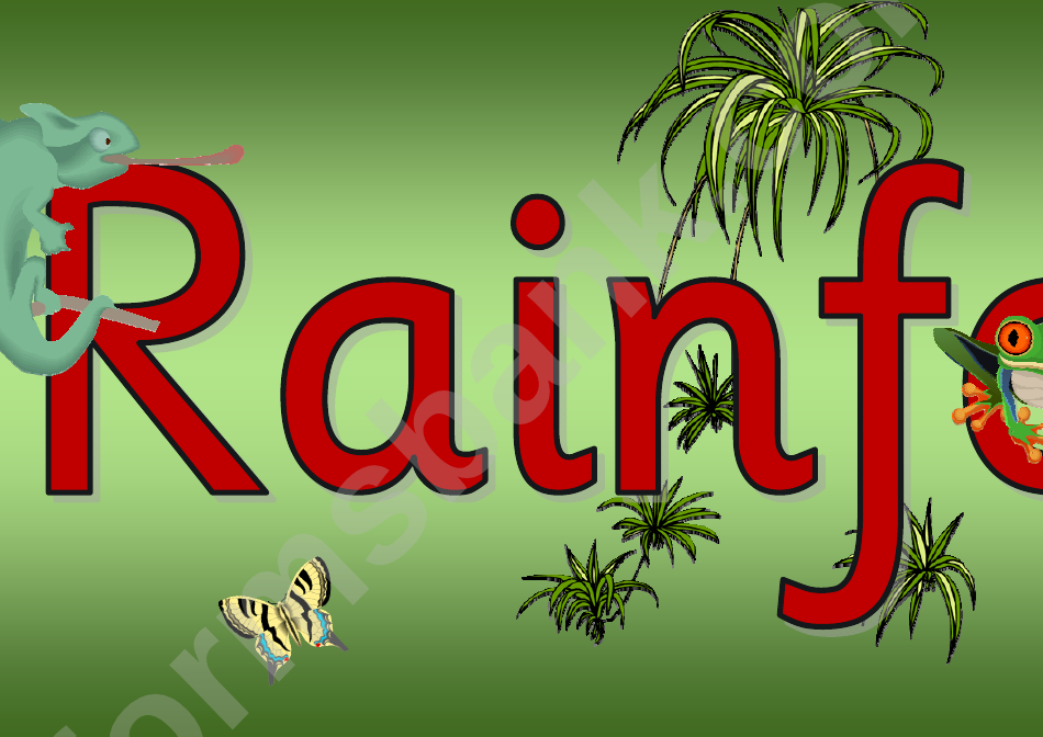 Rainforest Poster Template