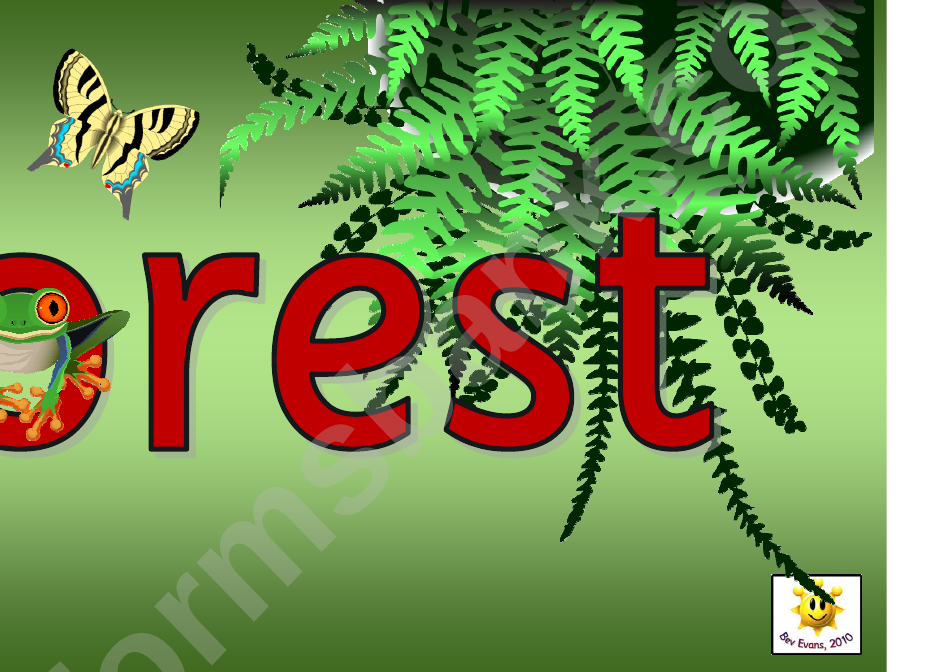 Rainforest Poster Template