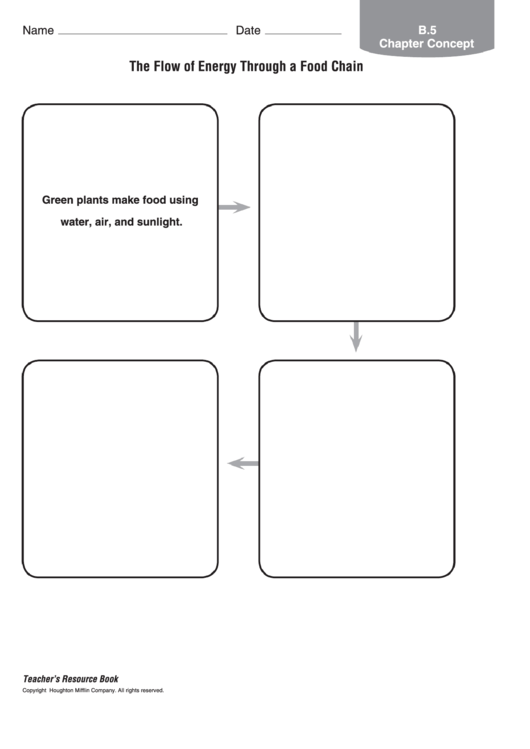 The Flow Of Energy Through A Food Chain Worksheet Printable pdf