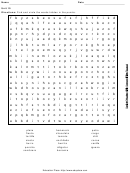 Level 7 Word Search Puzzle