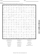 Level 7 Word Search Puzzle