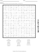 Level 7 Word Search Puzzle