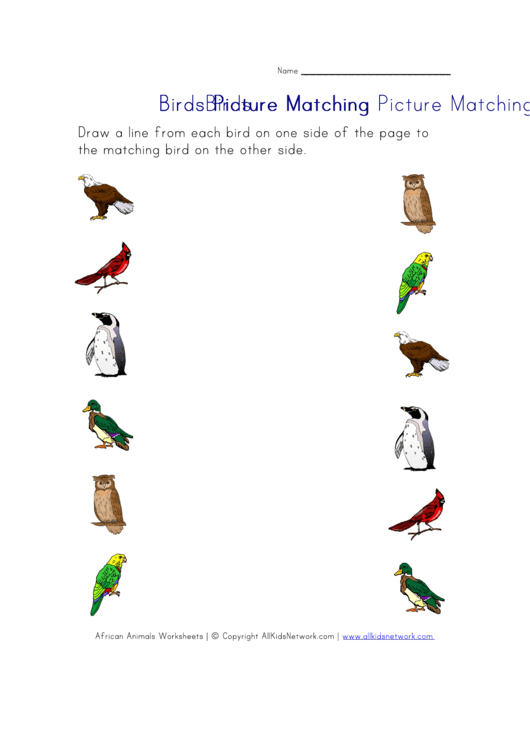 Birds Picture Matching Worksheet Printable pdf
