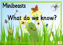 Discovery Poster Template For Minibeasts Printable pdf