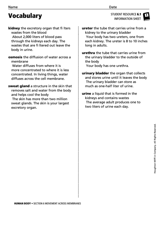 Vocabulary - Movement Across Membranes Printable pdf