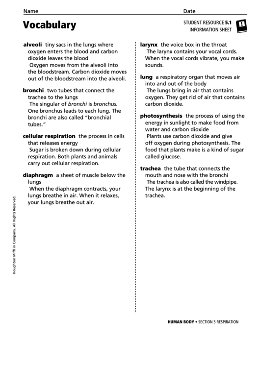 Vocabulary - Respiration Printable pdf