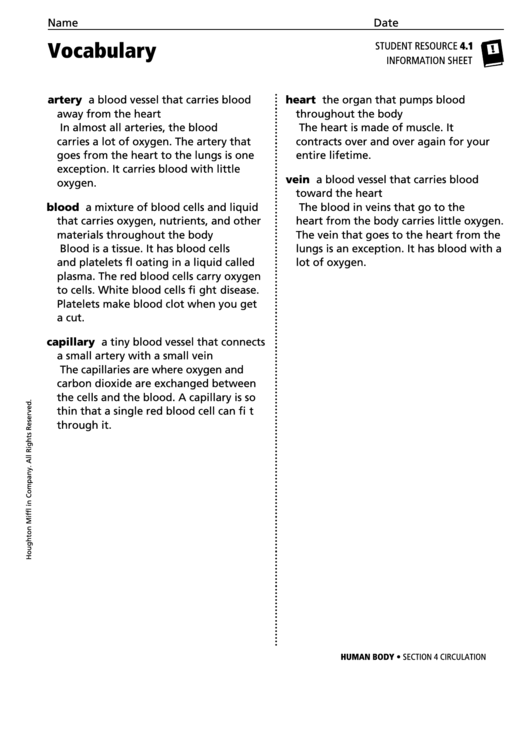 Vocabulary - Circulation Printable pdf