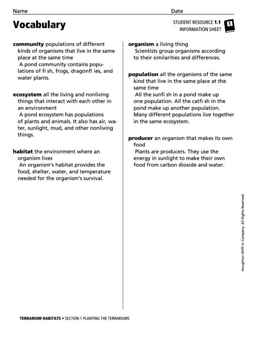Vocabulary Planting The Terrariums printable pdf download