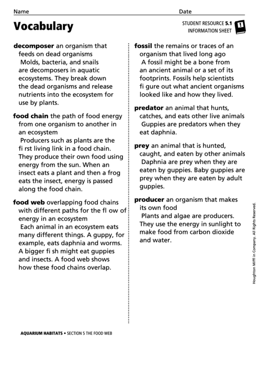 Vocabulary - The Food Web Printable pdf