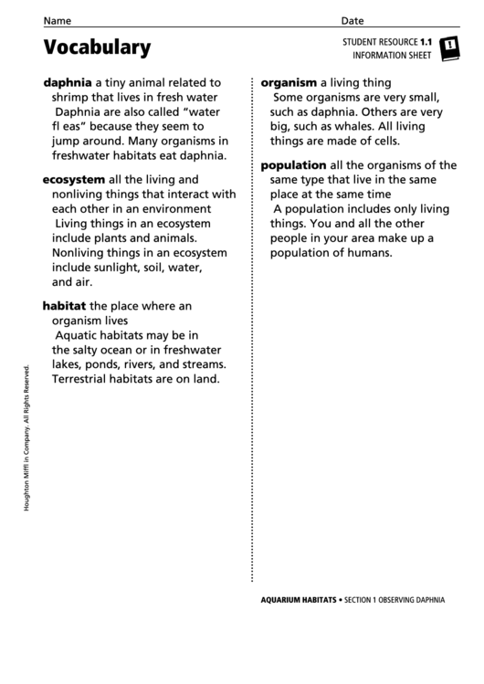 Vocabulary - Observing Daphnia Printable pdf