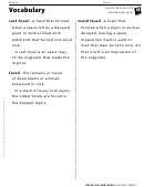 Vocabulary Sheet - Rocks, Soil, And Fossils