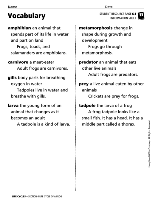 Vocabulary - Life Cycle Of A Frog Printable pdf