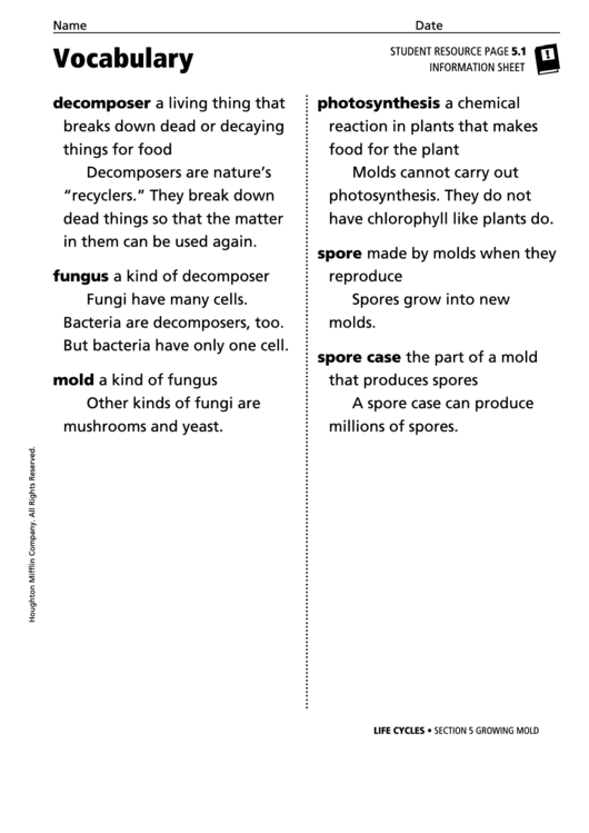 Vocabulary - Growing Mold Printable pdf