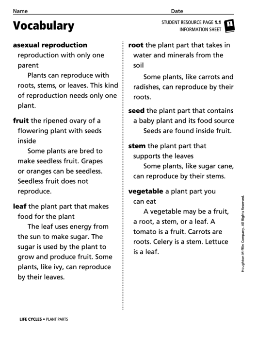 Vocabulary - Plant Parts Printable pdf