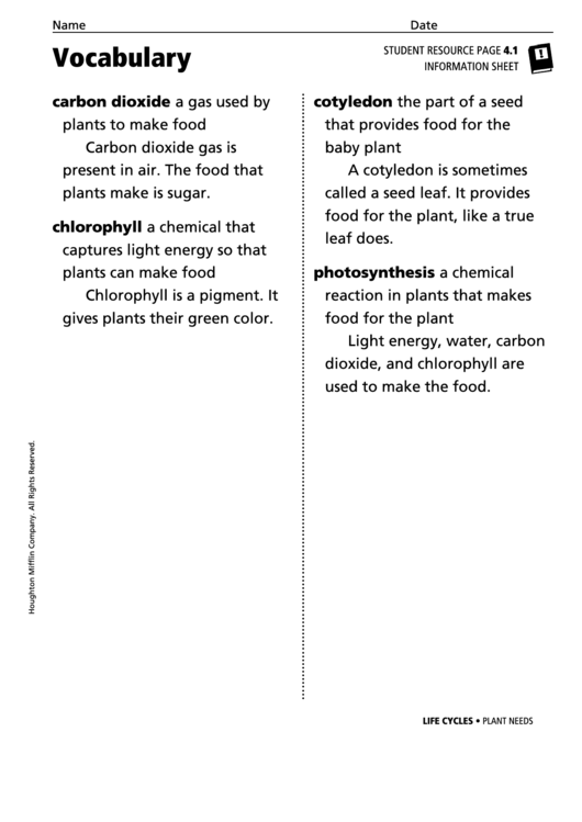 Vocabulary - Plant Needs Printable pdf