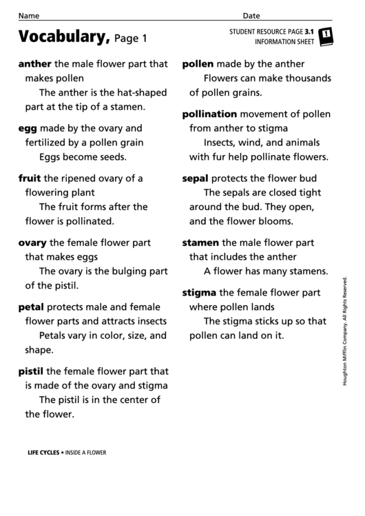 Vocabulary - Inside A Flower Printable pdf