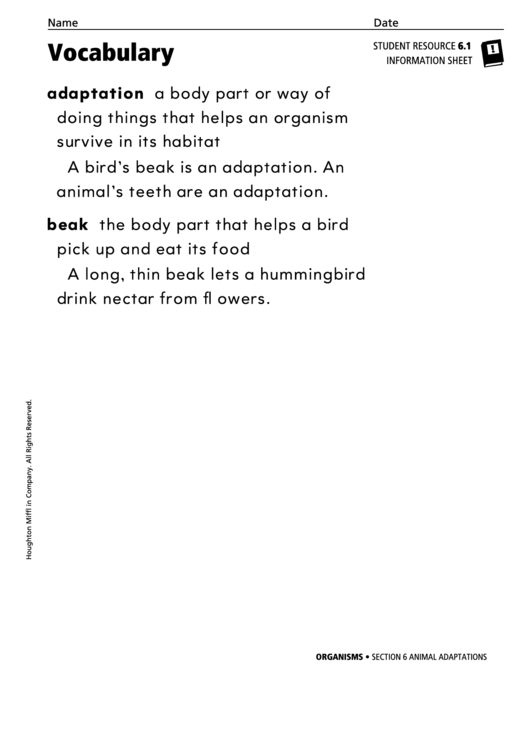 Vocabulary - Animal Adaptations Printable pdf