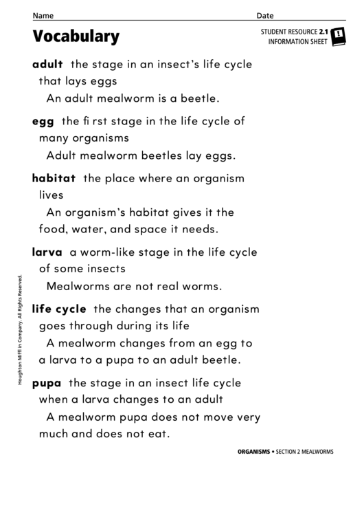 Vocabulary - Mealworms Printable pdf
