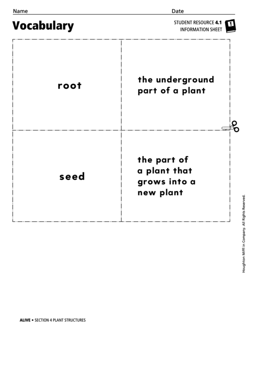 Vocabulary - Plant Structures Printable pdf