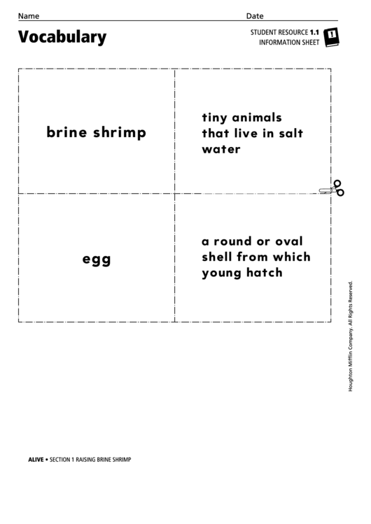 Vocabulary - Raising Brine Shrimp Printable pdf