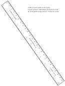 Hobbyist Quarter-inch Scale