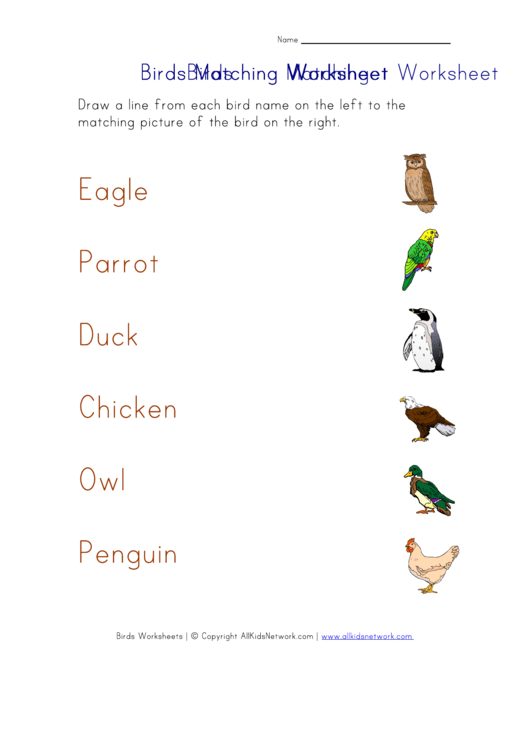 Birds Matching Worksheet Printable pdf