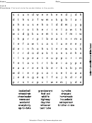 Word Search Puzzle Worksheet