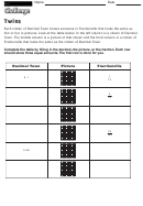 Twins - Math Worksheet With Answers Printable pdf
