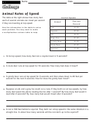 Animal Rates Of Speed - Math Worksheet With Answers