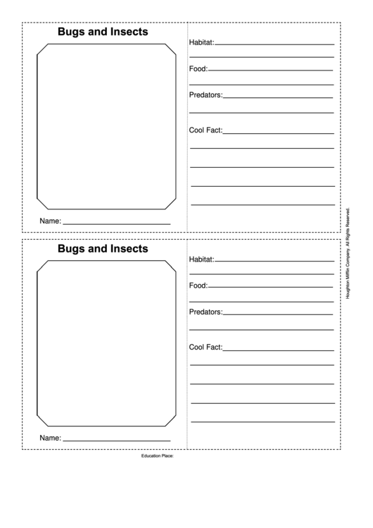 Bugs And Insects Card Activity Template Printable pdf