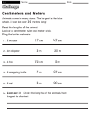 Centimeters And Meters - Measurement Worksheet With Answers