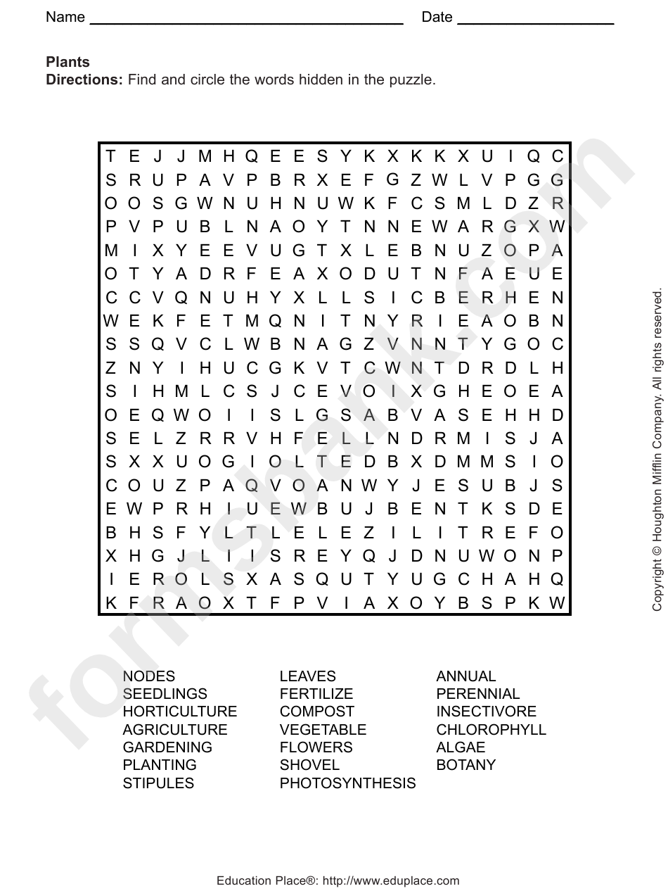 Plants Word Search Puzzle Template