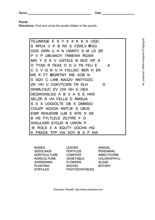 Plants Word Search Puzzle Template Printable pdf