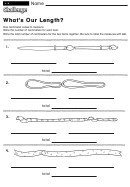 What's Our Length - Measurement Worksheet With Answers