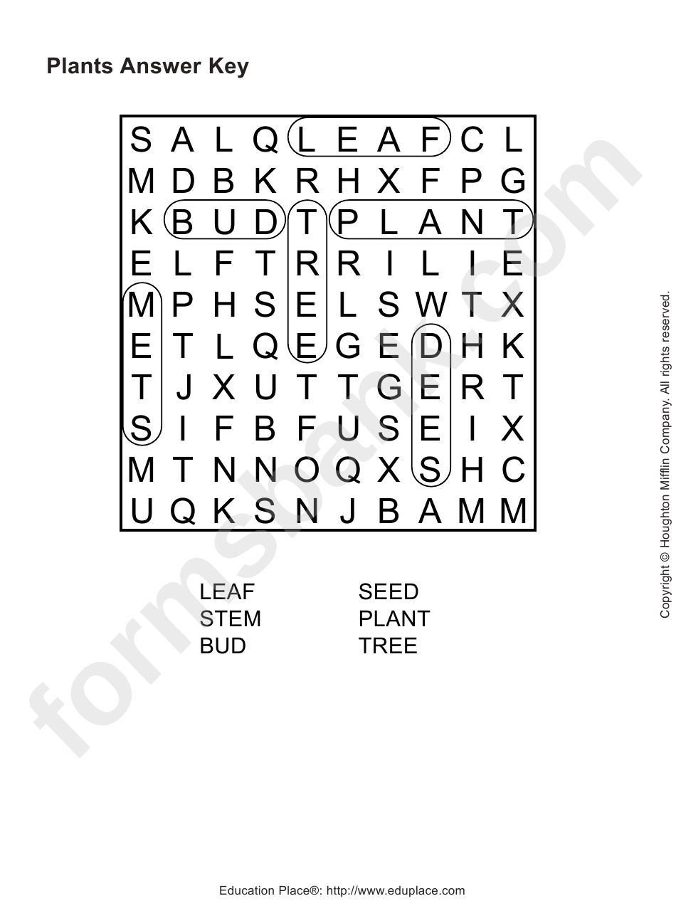 Plants Word Search Puzzle Template With Answers