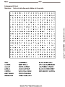 Endangered Animals Word Search Puzzle Template