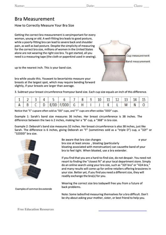 Bra Measurement - Student Handouts Printable pdf