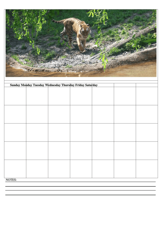 Blank Monthly Calendar Template With Notes Printable pdf