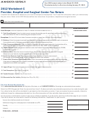 Worksheet C - Provider, Hospital And Surgical Center Tax Return - 2012