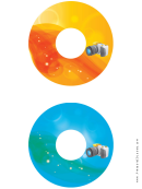 Orange Blue Slr Photography Cd-dvd Labels