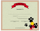 Dog Show Certificate