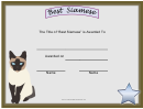 Cat Best Siamese Certificate