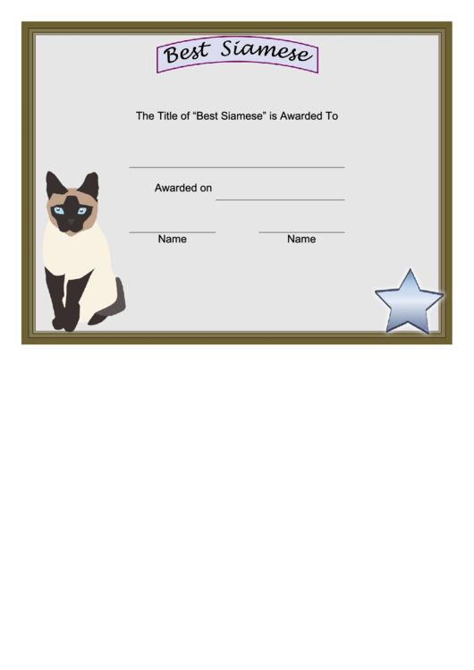 Cat Best Siamese Certificate Printable pdf