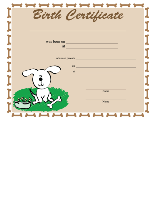 Birth Certificate Printable pdf